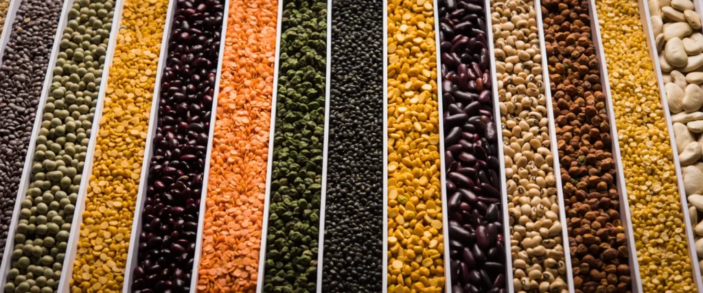 Pulses & Legumes