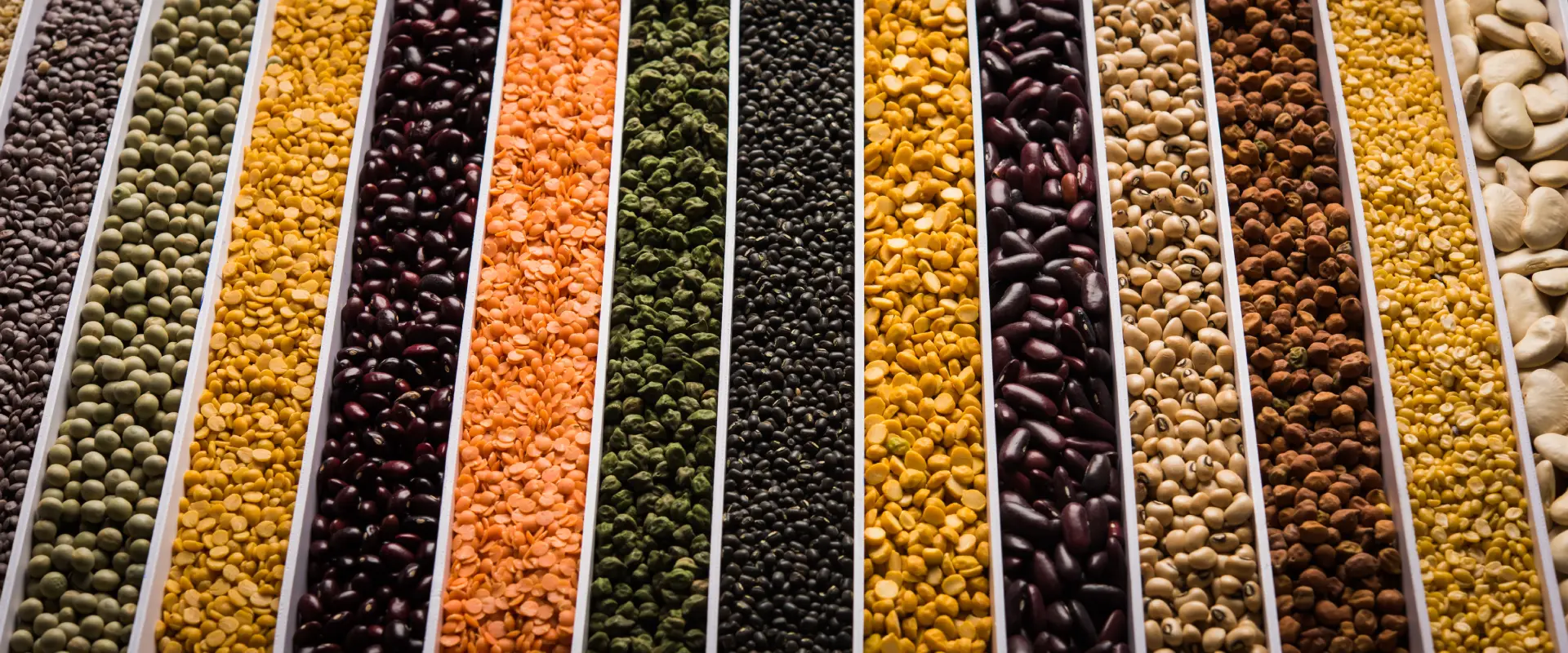 Pulses & Legumes